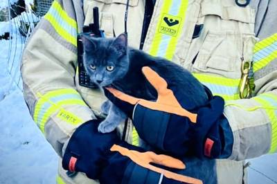 Da brannmannen kom gående med pus i armene, brast det for huseieren