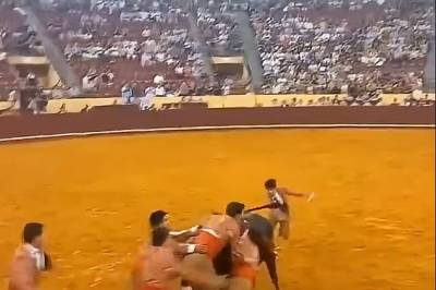 Portugisisk tyrefekter stanget i hjel av en 1 500 kg tung okse i en arena i Lisboa, og en eldre tilskuer dør mens han ser på