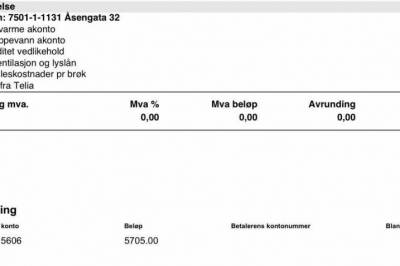 Kyiv-ordfører: - På randen av katastrofe