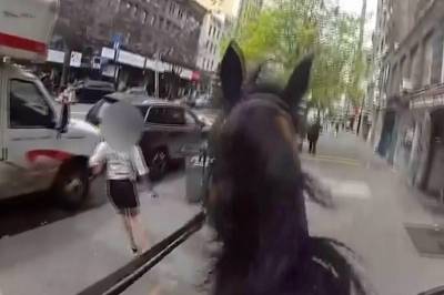 Ellevill tjuvjakt på hesterygg i New York