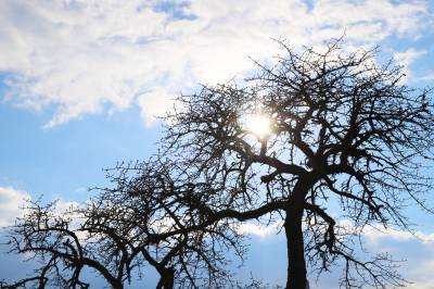 Vil du nyte finværet, bør du skynde deg