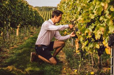 – Nå vet vi at vi kan lage god musserende vin