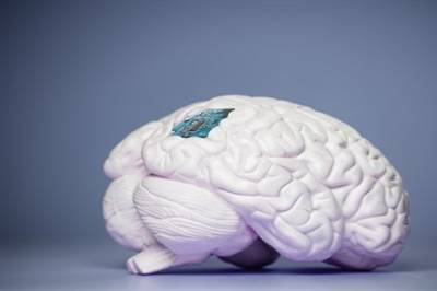 En hjernebrikke som kan behandle lammelse