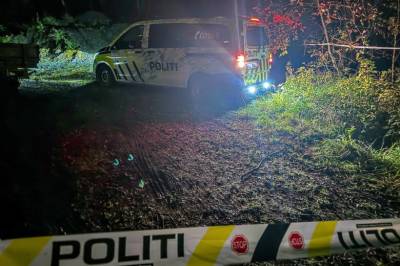 Mann (43) ble skutt etter øksedrama – dømt til fengsel