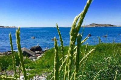 SV forventer ny Oslofjordplan med kraftigere og mer målretta tiltak.