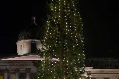Oslo-grana tent på Trafalgar Square