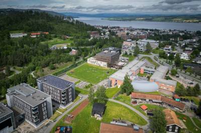 Levende campus: Vi vet hva som virker, hvorfor gjør vi mindre av det?