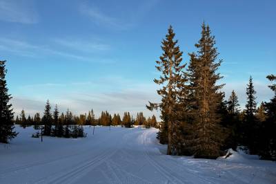 Meteorologen: – Dere er egentlig litt heldige i Ringsaker