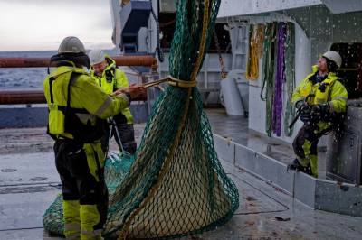 Litt mer lofottorsk enn i fjor – men fortsatt labert