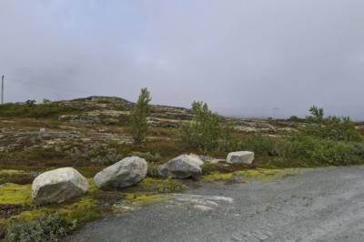 Steintulle i fjello våre
