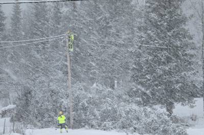 Uværet kostet Linea minst 50 millioner