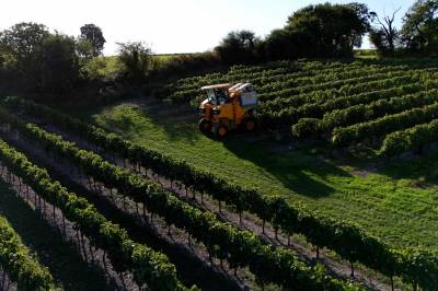 Norge er ikke lenger en «cognac-nasjon»