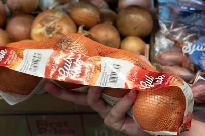 Løk-koalisjon på Stortinget vil bremse nye EU-regler