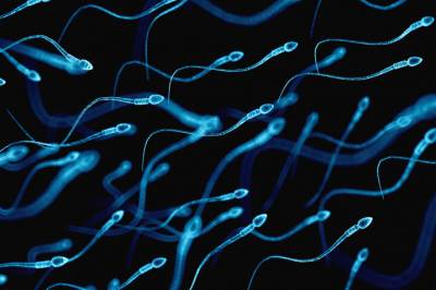 Dette gjør menns alder med sædcellene