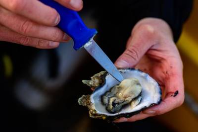 Ministeren snur om invaderende østers: – Fritt frem