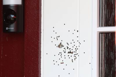 Politiet: Åtte menn pågrepet etter skyting mot bolig på Skjetten