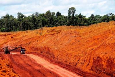 Naturens kollaps er en alvorlig sikkerhetstrussel