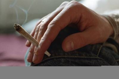 Ny studie: Kommersielt cannabissalg knyttes til mer avhengighet