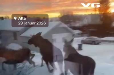 Uvanlig nært møte: – Holdt på å falle av stolen