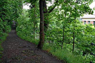 Helseopplysning bør være mer sannferdig enn reklame