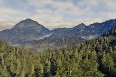 Du har ikke sett en verden som dette før