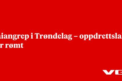 Haiangrep i Trøndelag – oppdrettslaks har rømt