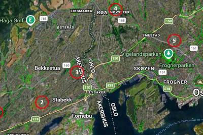 Fem katter er funnet drept og partert. Slik etterforsker politiet saken.