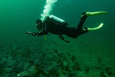 Stort, menneskeskapt belte av stein oppdaget under vann utenfor Bergen: – Svært spesielt