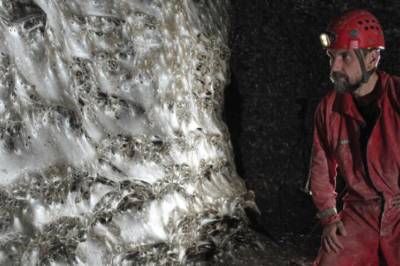 Fant verdens største koloni av edderkopper