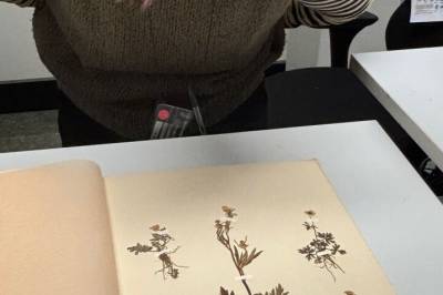 Gamle plantesamlinger avslører at naturen endrer seg lynraskt