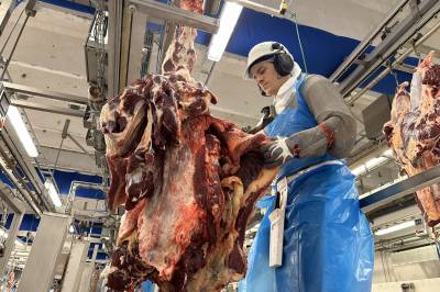 Her får du jobb på dagen: – Mye bedre betalt her enn andre steder.