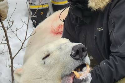 «Man må leve mens man lever»