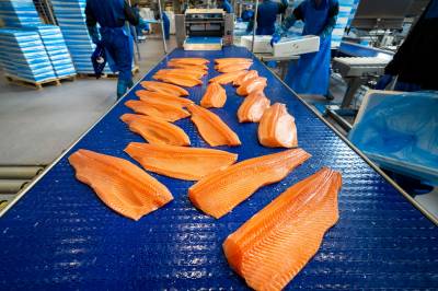 Sjømataktører om USAs ekstratoll: – Et slags sjokk