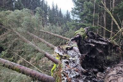 Nesten alle kommuner har strømfeil