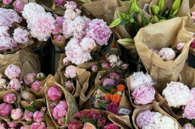 Nå bør du sikre deg denne blomsten