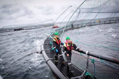 Skatten som ble for lav