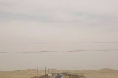 Kina har plantet 66 milliarder trær i en ørken