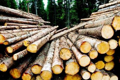 DN viser lave ambisjoner for norsk industri