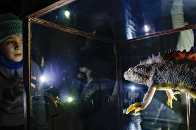 – Det er altså ikke Sabrina Carpenter de står i kø for, men skjeletter