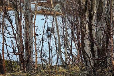 Ulykken på Bjørnfjell: – Holdt fart langt over fartsgrensen