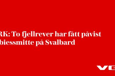 NRK: To fjellrever har fått påvist rabiessmitte på Svalbard