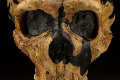 Blyforgiftning kan ha vært spikeren i neandertalernes kiste