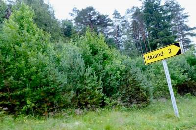 Verdens beste spiss bare to kilometer unna!
