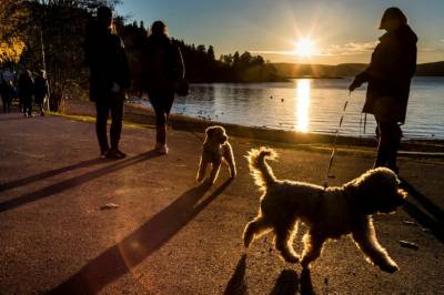 Melder opp mot 20 grader over hele landet