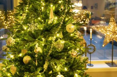 Advarer mot denne typen julepynt