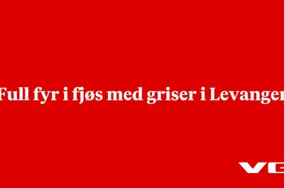 Full fyr i fjøs med griser i Levanger