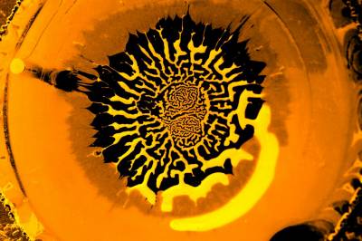 Forsket på kaffesøl – oppdaget labyrinter