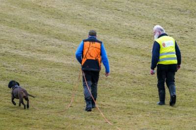 Ulv påkjørt i Lillestrøm 