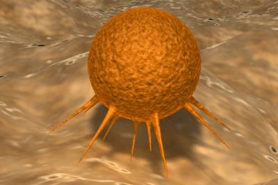 Fleire vegar til målet for treffsikker kreftmedisin