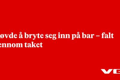 Prøvde å bryte seg inn på bar – falt gjennom taket